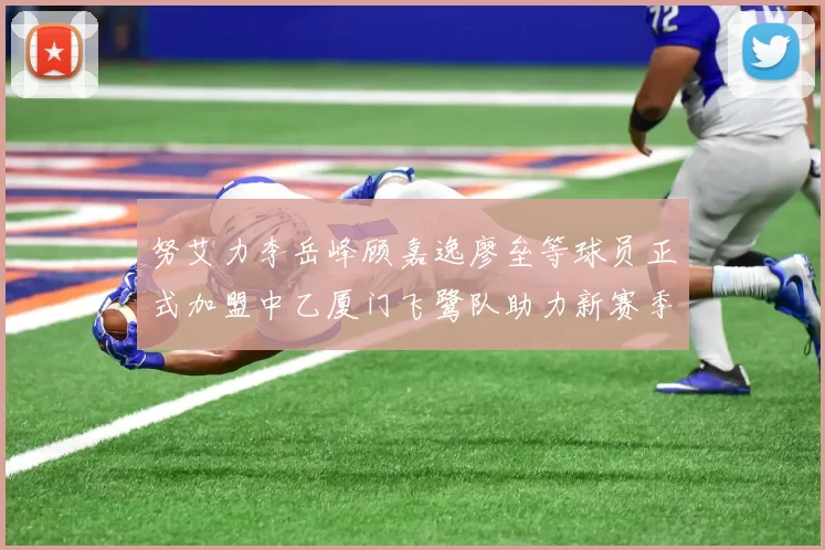 努艾力李岳峰顾嘉逸廖垒等球员正式加盟中乙厦门飞鹭队助力新赛季