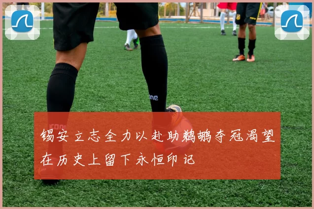 锡安立志全力以赴助鹈鹕夺冠渴望在历史上留下永恒印记